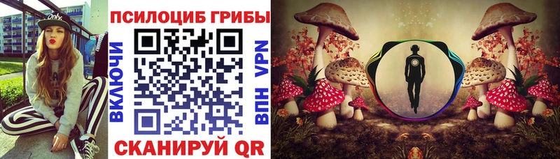 Галлюциногенные грибы Psilocybine cubensis  Реутов 
